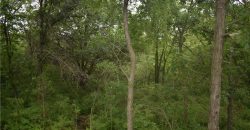 Homes for Sale in Kansas City, MO 64156 | 4814 NE 105th Street