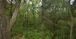 Homes for Sale in Kansas City, MO 64156 | 4814 NE 105th Street