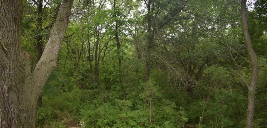 Homes for Sale in Kansas City, MO 64156 | 4814 NE 105th Street