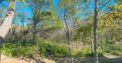 Homes for Sale in Kansas City, MO 64156 | 4814 NE 105th Street