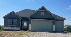 Homes for Sale in Kansas City, MO 64165 | 12160 N Tracy Avenue