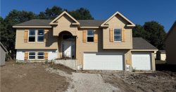 Homes for Sale in Kearney, MO 64060 | 1207  Noah Lane