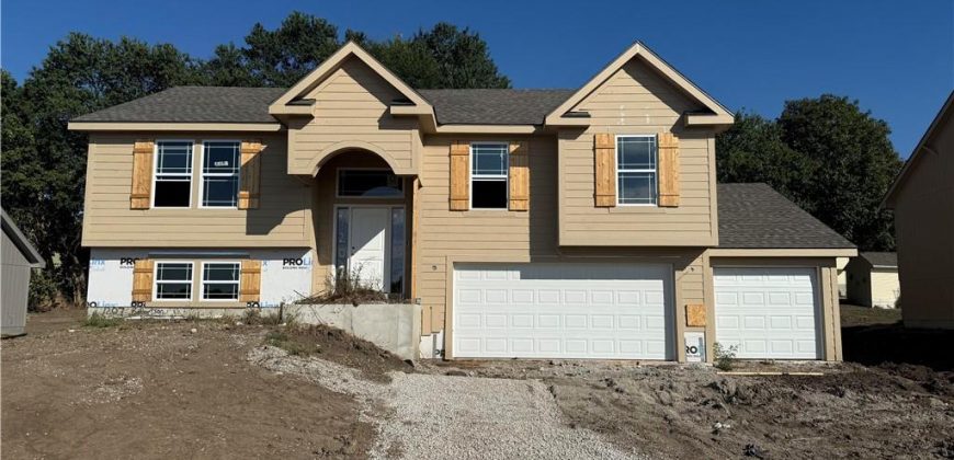 Homes for Sale in Kearney, MO 64060 | 1207  Noah Lane