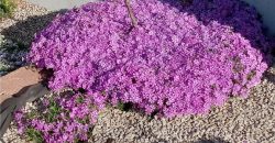 Homes for Sale in Riverside, MO 64150 | 4816 NW High Drive