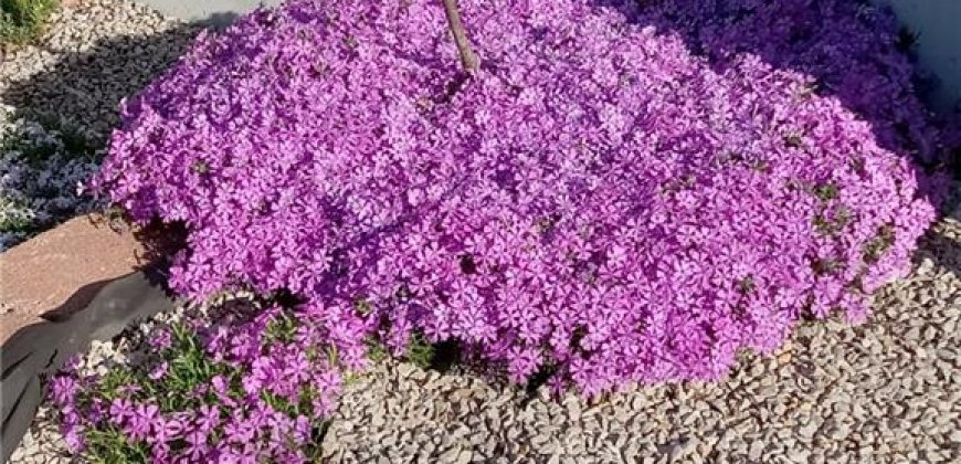 Homes for Sale in Riverside, MO 64150 | 4816 NW High Drive