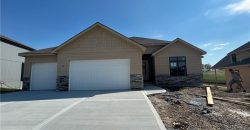 Homes for Sale in Kearney, MO 64060 | 13541 NE 114th Place