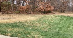 Homes for Sale in Kansas City, MO 64152 | 15102 NW 72nd Street