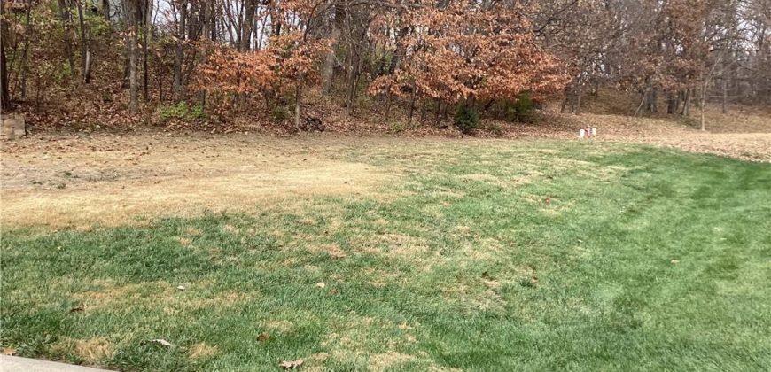 Homes for Sale in Kansas City, MO 64152 | 15102 NW 72nd Street