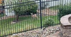 Homes for Sale in Kansas City, MO 64053 | 8636 N Utica Avenue