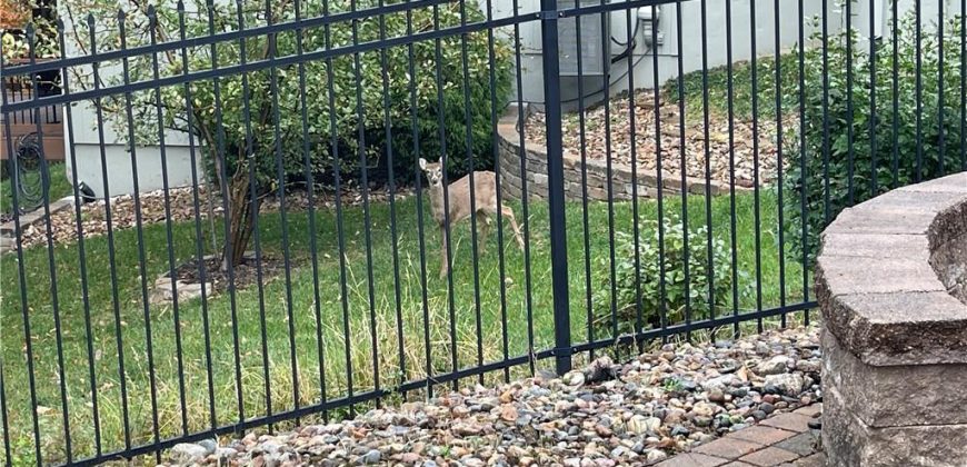 Homes for Sale in Kansas City, MO 64053 | 8636 N Utica Avenue