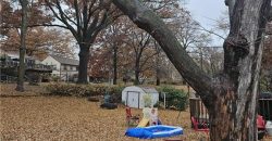 Homes for Sale in Kansas City, MO 64118 | 5030  Marvin Road