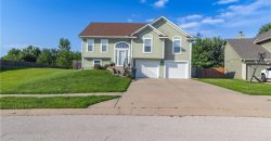 Homes for Sale in Smithville, MO 64089 | 1902 NE Lake Drive