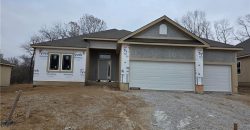 Homes for Sale in Kansas City, MO 64154 | 9427 N Belton Avenue