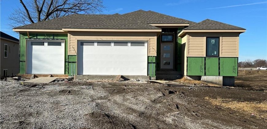 Homes for Sale in Lawson, MO 64062 | 696  Salem Road