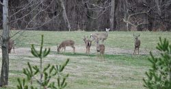 Homes for Sale in Kansas City, MO 64154 | 2651 NW Barry Road, Unit#102