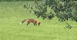 Homes for Sale in Kansas City, MO 64154 | 2651 NW Barry Road, Unit#102