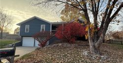 Homes for Sale in Kearney, MO 64060 | 406  Park Court