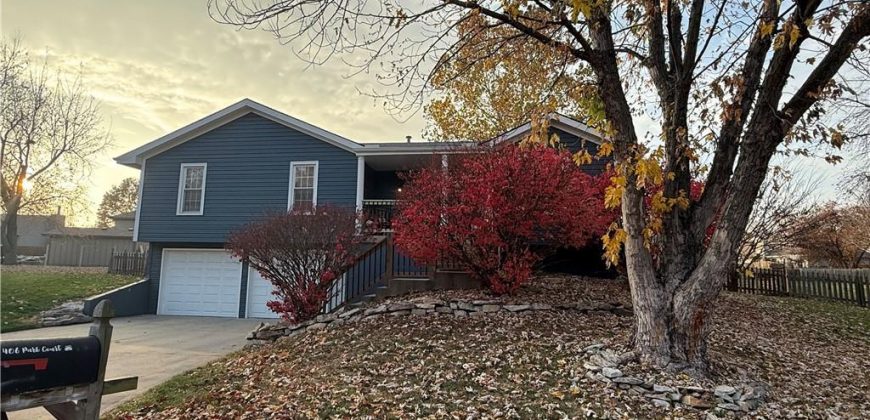 Homes for Sale in Kearney, MO 64060 | 406  Park Court