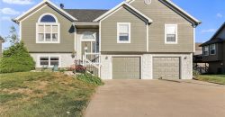 Homes for Sale in Kansas City, MO 64157 | 10823 N Oakland Avenue