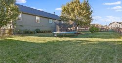 Homes for Sale in Kansas City, MO 64157 | 10823 N Oakland Avenue