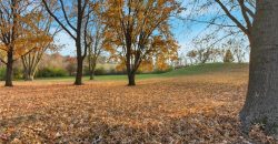 Homes for Sale in Excelsior Springs, MO 64024 | 1606  Lynn Road