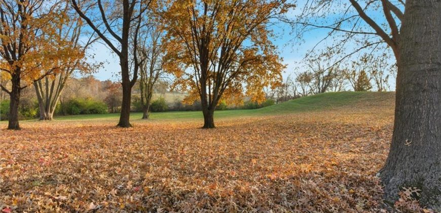 Homes for Sale in Excelsior Springs, MO 64024 | 1606  Lynn Road