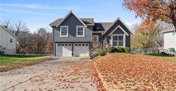 Homes for Sale in Platte City, MO 64079 | 1804  4TH Street