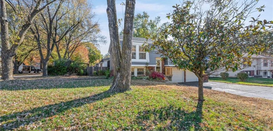 Homes for Sale in Kansas City, MO 64155 | 8809 N MAIN Street