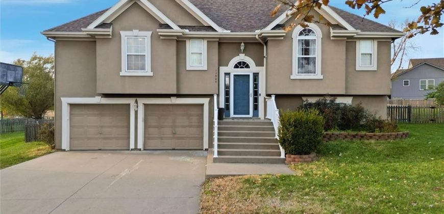 Homes for Sale in Kansas City, MO 64157 | 11004 N Hunter Avenue