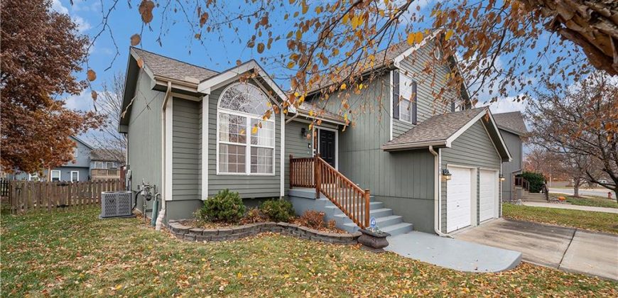 Homes for Sale in Kansas City, MO 64155 | 11264 N SUMMIT Street