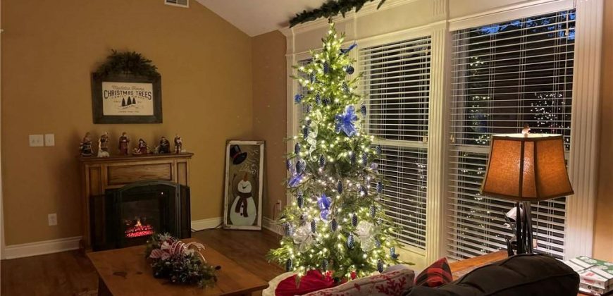 Homes for Sale in Excelsior Springs, MO 64024 | 1113  Melanie Street