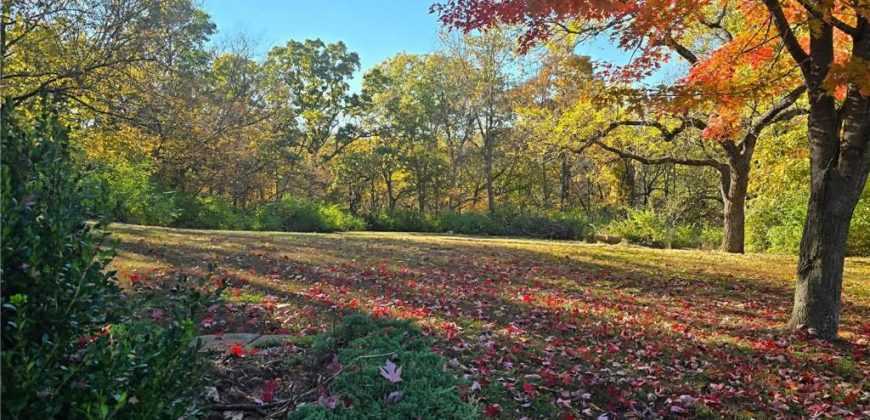 Homes for Sale in Excelsior Springs, MO 64024 | 1113  Melanie Street