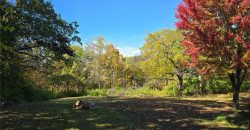 Homes for Sale in Excelsior Springs, MO 64024 | 1113  Melanie Street