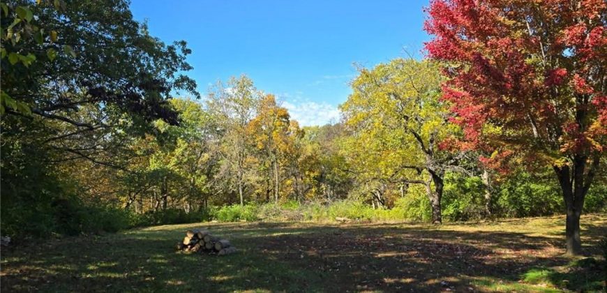 Homes for Sale in Excelsior Springs, MO 64024 | 1113  Melanie Street