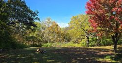 Homes for Sale in Excelsior Springs, MO 64024 | 1113  Melanie Street