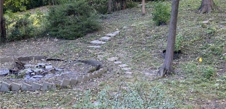 Homes for Sale in Kansas City, MO 64116 | 807 NE 46th Street