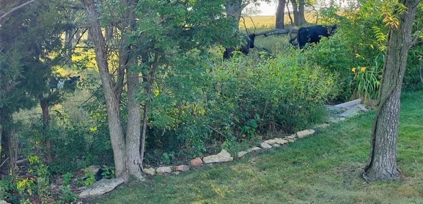 Homes for Sale in Platte City, MO 64079 | 2305  Windmill Drive