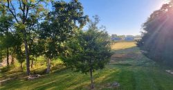 Homes for Sale in Platte City, MO 64079 | 2305  Windmill Drive