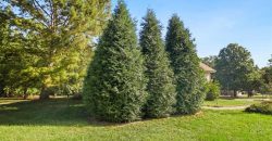 Homes for Sale in Pleasant Valley, MO 64068 | 7008 N Elm Street