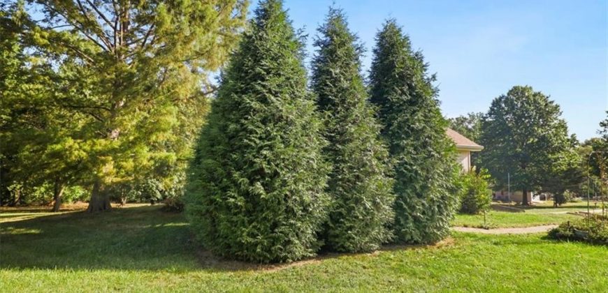 Homes for Sale in Pleasant Valley, MO 64068 | 7008 N Elm Street