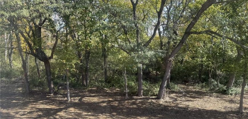 Homes for Sale in Kansas City, MO 64156 | 8909 N Colorado Avenue