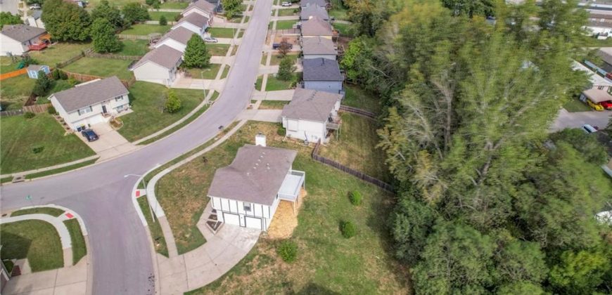 Homes for Sale in Kansas City, MO 64157 | 10615 N Ditman Avenue