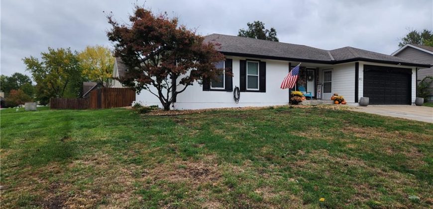 Homes for Sale in Excelsior Springs, MO 64024 | 812  Apple Blossom Street