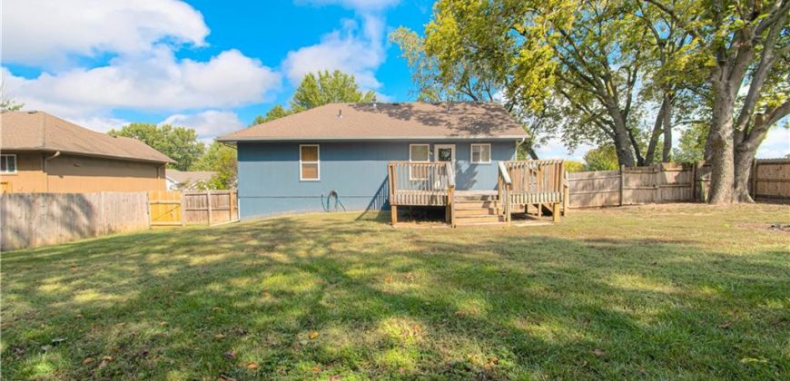 Homes for Sale in Excelsior Springs, MO 64024 | 1017  Rose Avenue