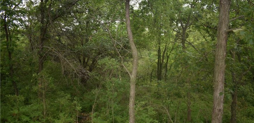 Homes for Sale in Kansas City, MO 64156 | 4814 NE 105th Street