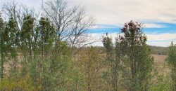 Homes for Sale in Platte City, MO 64079 | 1863  Wilkerson