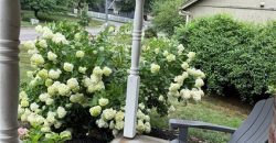 Homes for Sale in Liberty, MO 64068 | 1609  Buckingham Drive