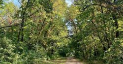 Homes for Sale in Liberty, MO 64068 | 1609  Buckingham Drive