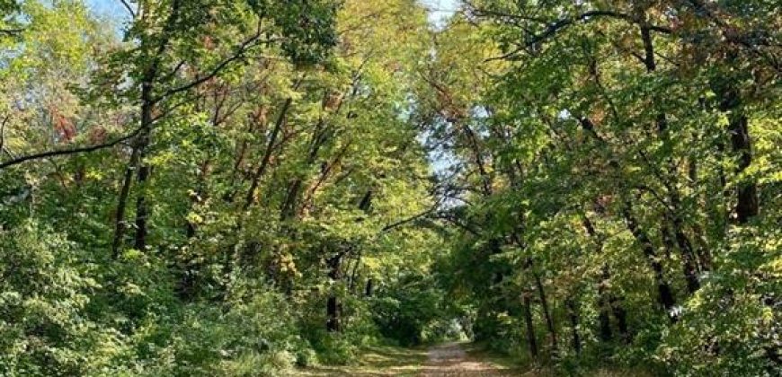 Homes for Sale in Liberty, MO 64068 | 1609  Buckingham Drive