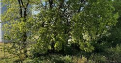 Homes for Sale in Kansas City, MO 64156 | 11902 N Bellaire Avenue